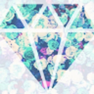 Meet your Posher, Anita